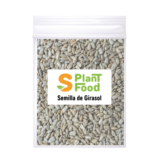 [MP10062] Girasol Pelado Semilla